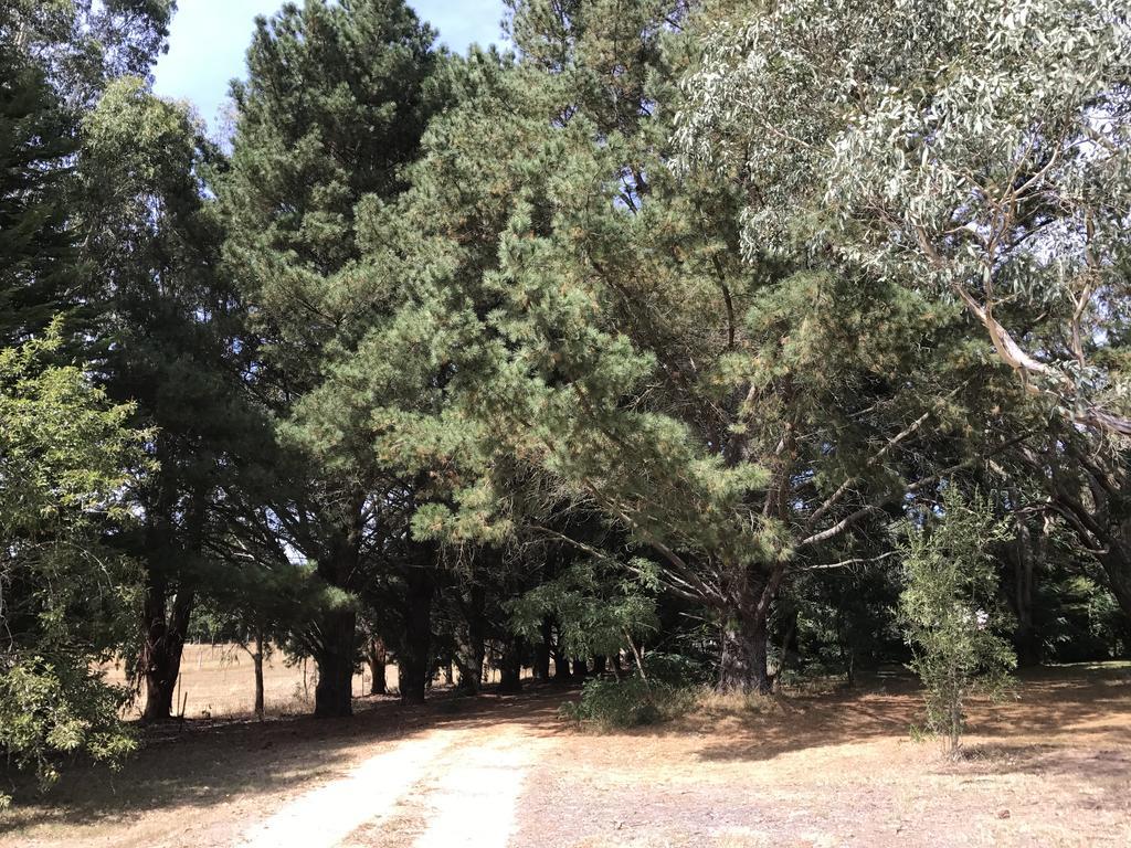 Helen'S Homestead Enfield Экстерьер фото