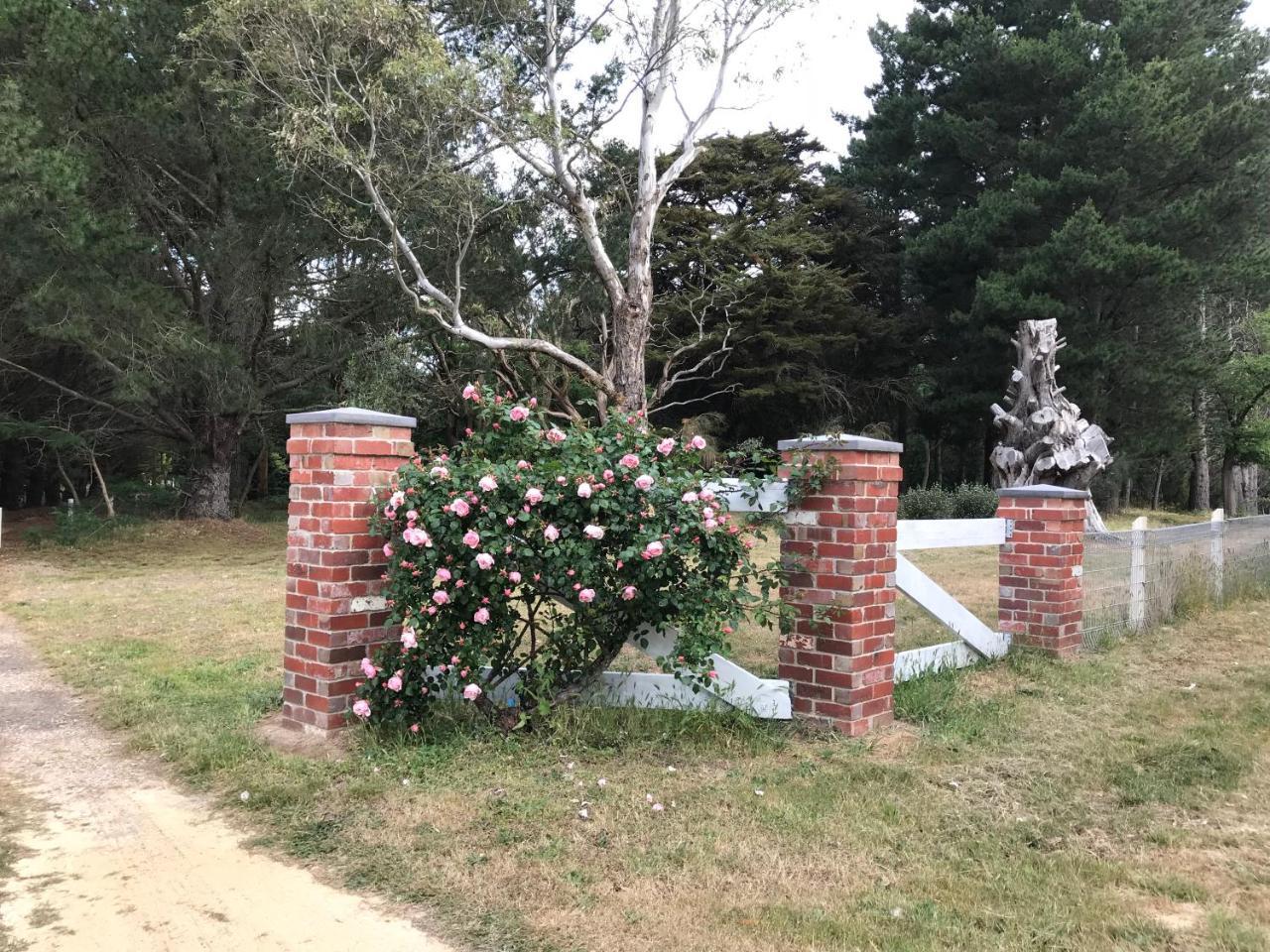 Helen'S Homestead Enfield Экстерьер фото